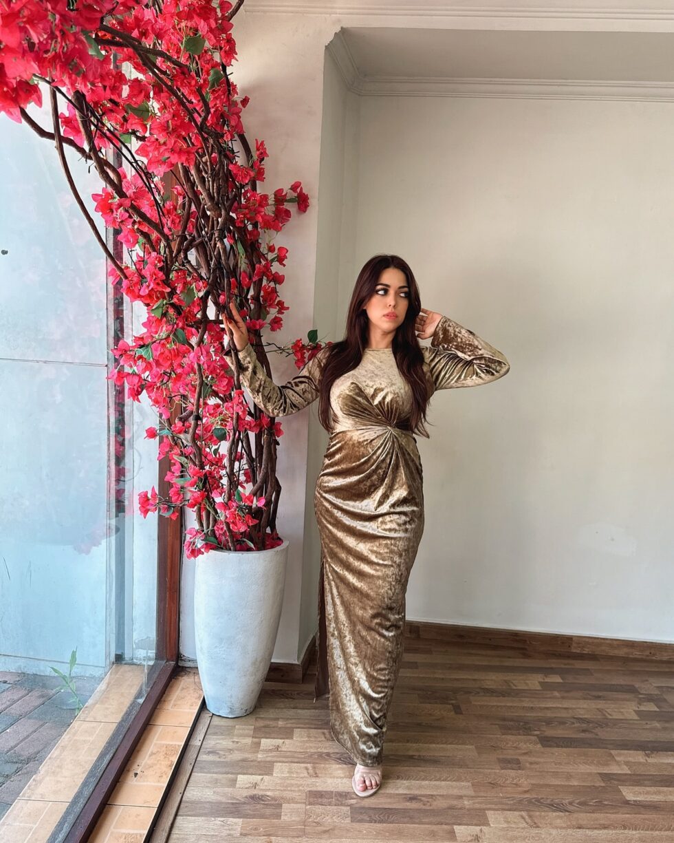 Velvet Gold Luxe Dress - Kathyusha Velvet Gold Luxe Dress